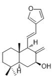 二羟丙茶碱A标准品