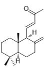 15,16-二去甲-8(17),11-赖百当二烯-13-酮标准品