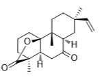 玫瑰菌素标准品