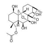 旱生香茶菜素G标准品