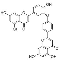 金连木黄酮标准品
