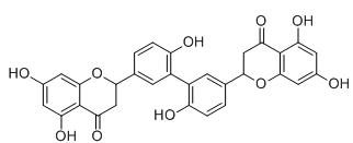 3',3'''-Binaringenin标准品