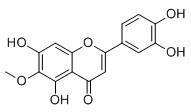 泽兰黄酮标准品