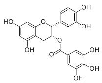 表儿茶素没食子酸酯标准品