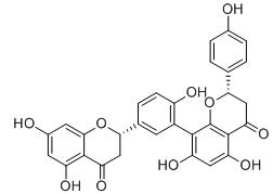 四氢穗花杉双黄酮标准品