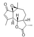 1β，10β-环氧脱乙酰氧基基质素标准品